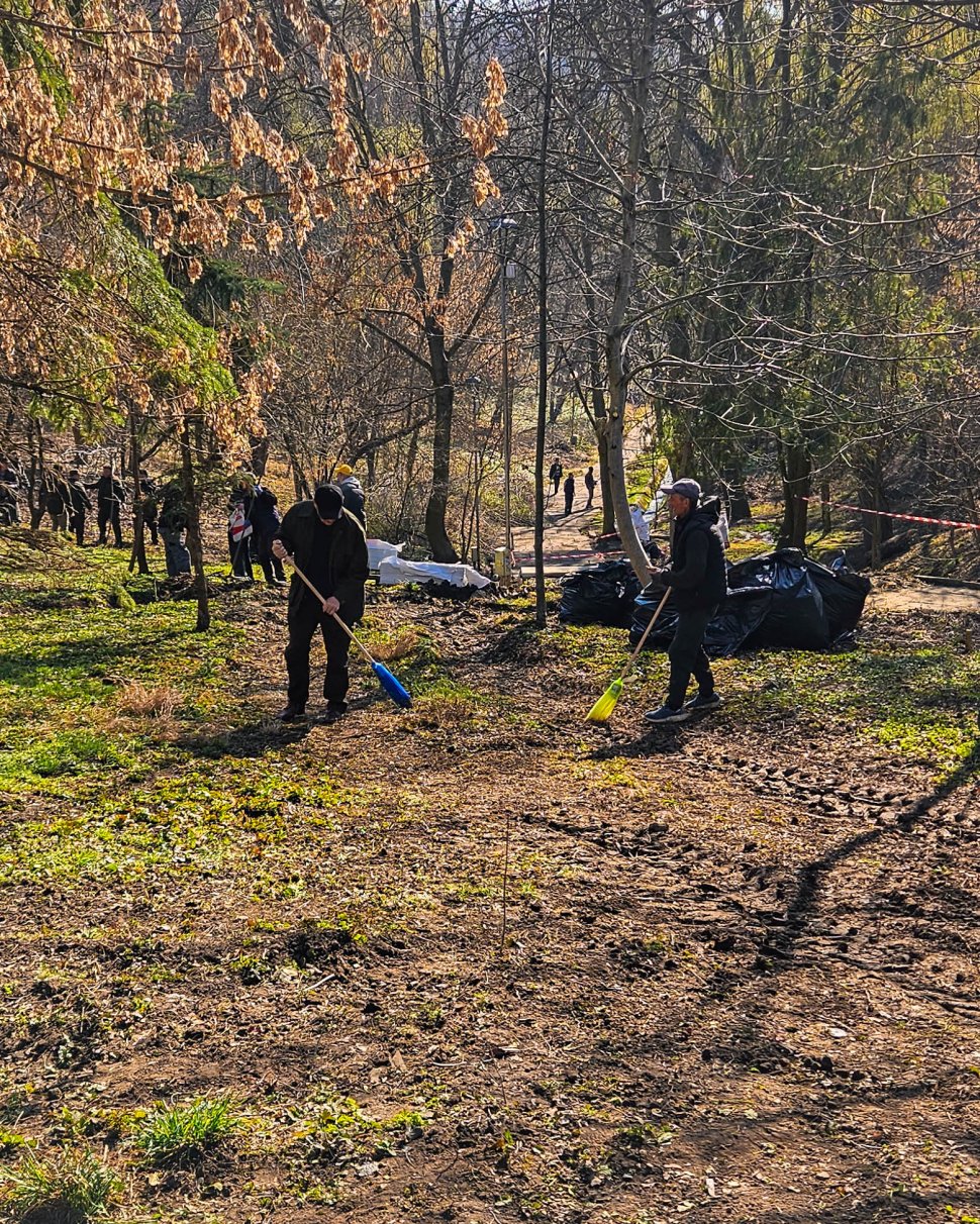 Parcul Șipote-Cetate, revigorat pentru primăvară 9961