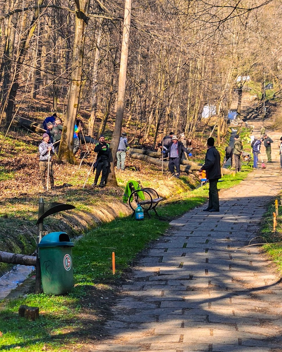 Parcul Șipote-Cetate, revigorat pentru primăvară 9964