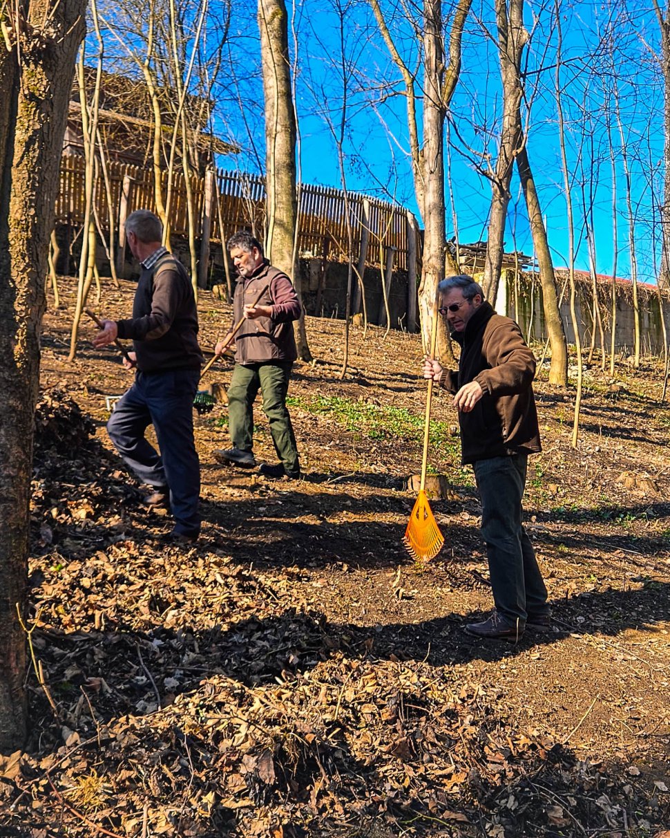 Parcul Șipote-Cetate, revigorat pentru primăvară 9966