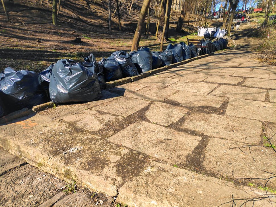 Parcul Șipote-Cetate, revigorat pentru primăvară 9967