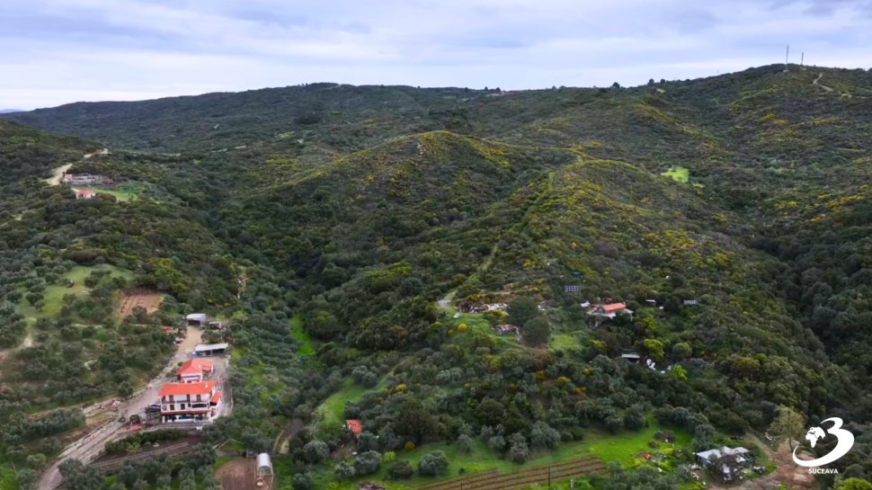 EXCLUSIV: Atmosfera unică din Muntele Athos în Postul Paștelui 9997