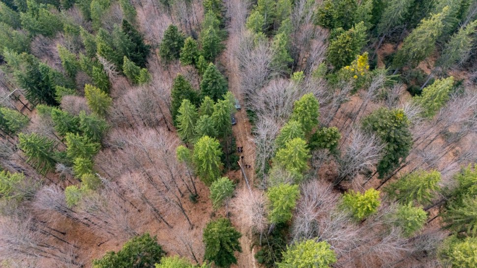Primii pași pentru drumul care va lega Slatina de Voroneț 10005
