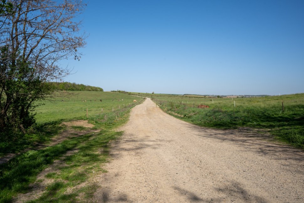 Un nou tronson de drum județean intră în modernizare în Suceava. Investiție de peste 22 de milioane de lei 10253