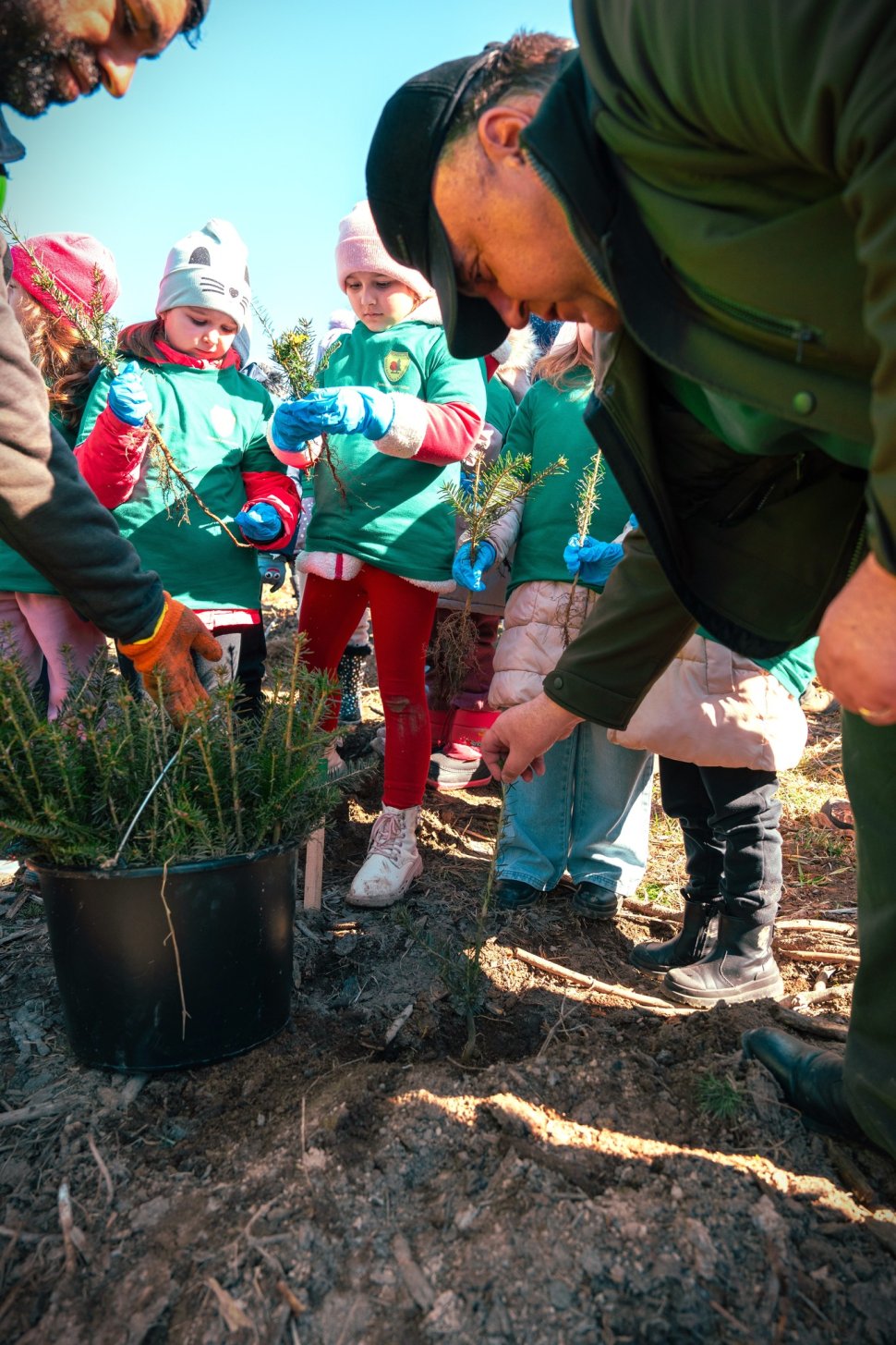 Elevii din Voitinel au plantat copaci alături de silvicultori 10551