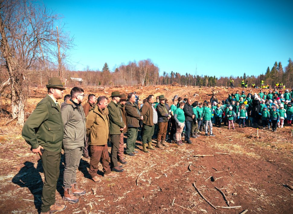 Elevii din Voitinel au plantat copaci alături de silvicultori 10552