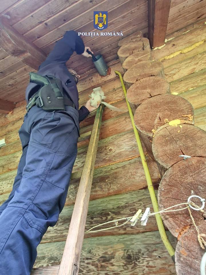 Ancheta extinsă în cazul fostului șef al vânătorilor  10409