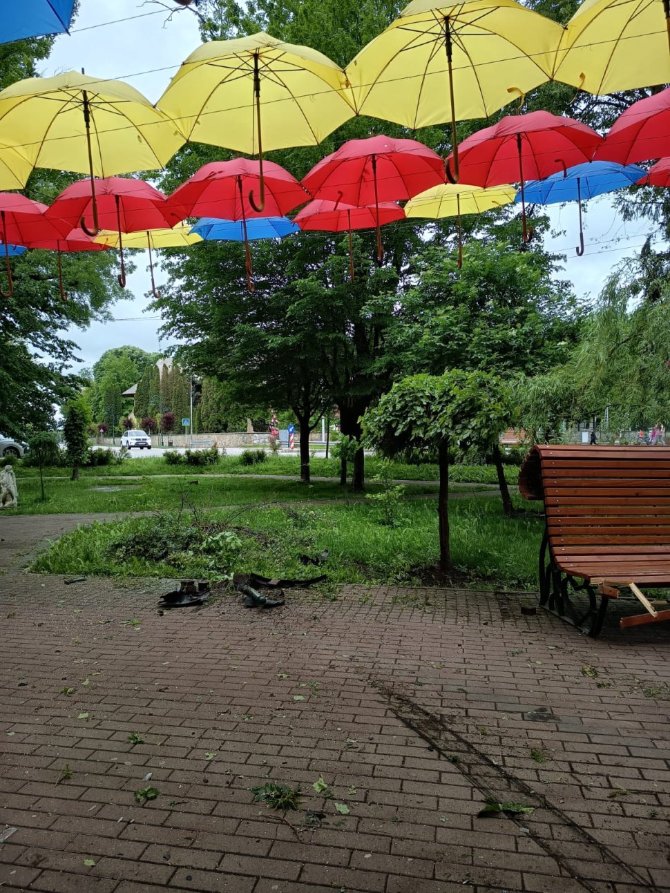 O mașină scăpată de sub control s-a oprit într-un copac din parc, la Rădăuți 10526