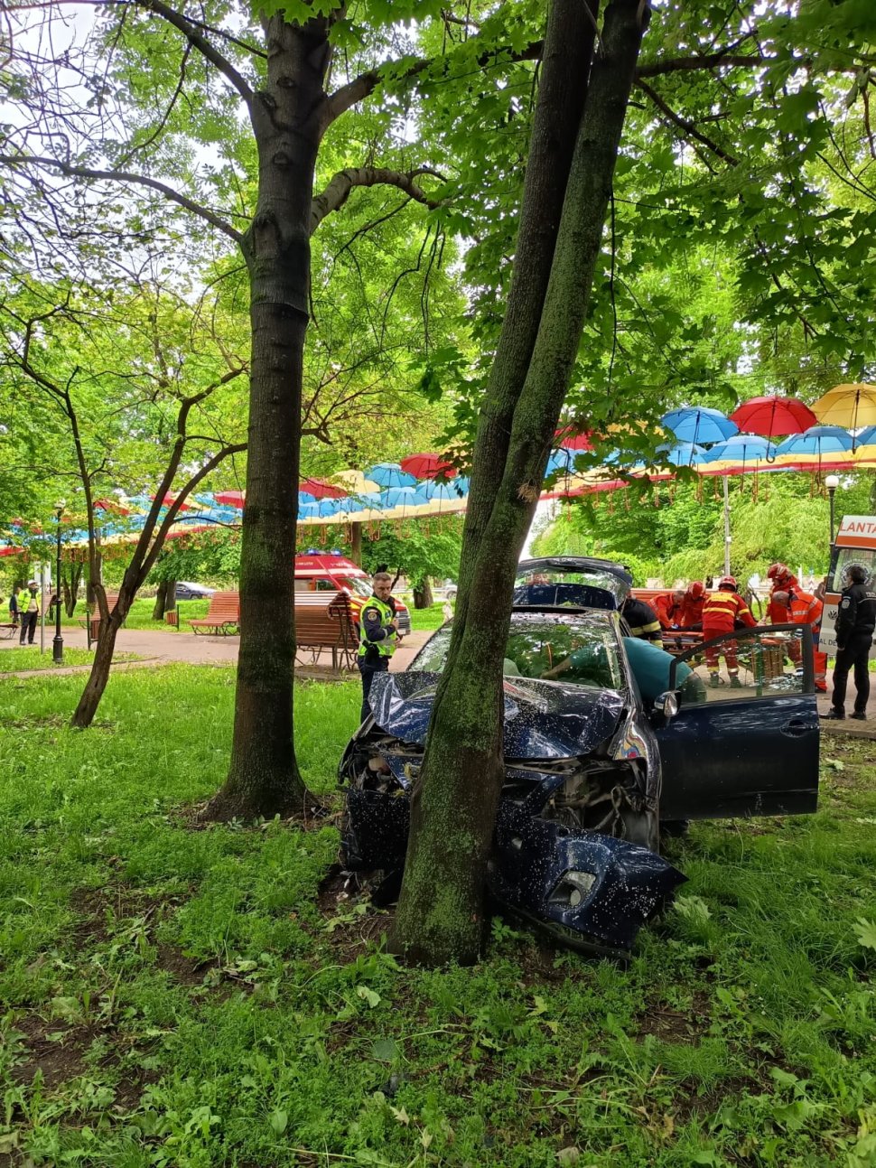 O mașină scăpată de sub control s-a oprit într-un copac din parc, la Rădăuți
