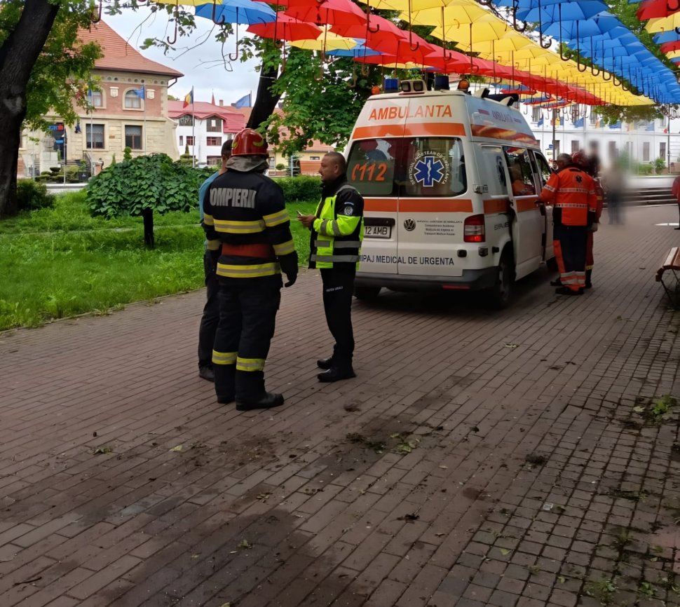 O mașină scăpată de sub control s-a oprit într-un copac din parc, la Rădăuți 10531