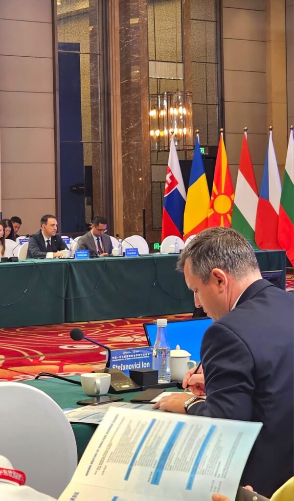 Ion Ștefanovici, CAPDR: „Europa Centrală și de Est, puntea noastră spre China. România trebuie să revină în joc” 10620