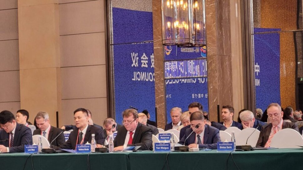 Ion Ștefanovici, CAPDR: „Europa Centrală și de Est, puntea noastră spre China. România trebuie să revină în joc” 10626