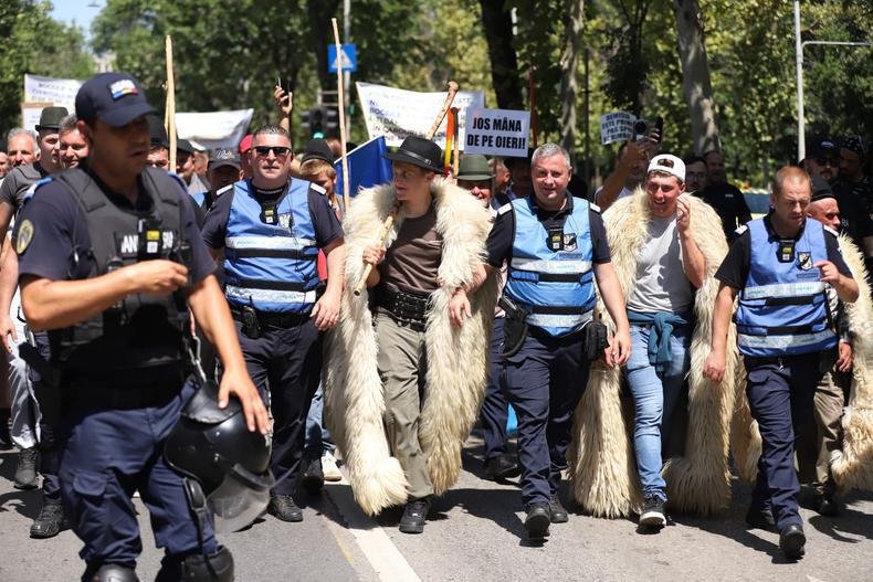 Crescătorii de ovine cer Guvernului măsuri urgente și amenință cu noi proteste