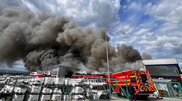 incendiu la o hala de termopane din salcea incendiu la o hala de termopane din salcea