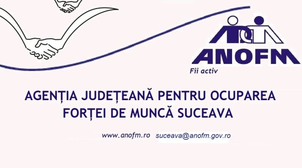 oferte multiple pentru absolventii suceveni