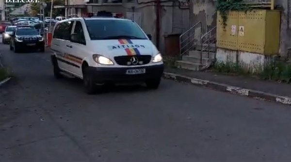 peste 1 000 de plante de canabis ridicate in urma a sase perchezitii facute de politistii suceveni peste 1 000 de plante de canabis ridicate in urma a sase perchezitii facute de politistii suceveni