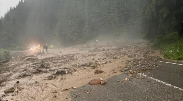 furtuna a facut ravagii in zona de munte a judetului furtuna a facut ravagii in zona de munte a judetului