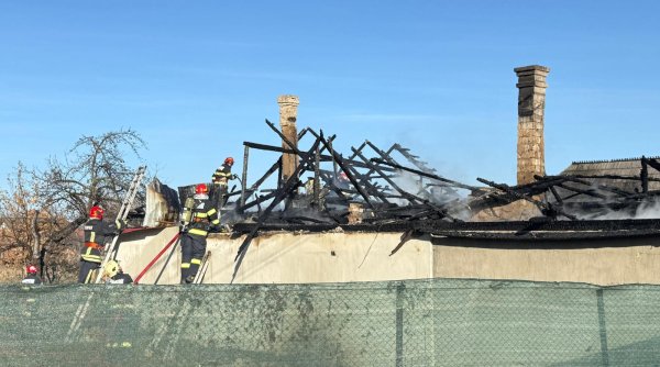 update incendiul de la marginea a fost lichidat update incendiul de la marginea a fost lichidat