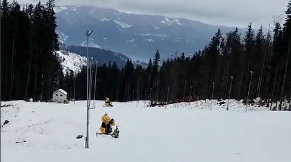 partiile din neamt si suceava se pregatesc pentru distractia de iarna