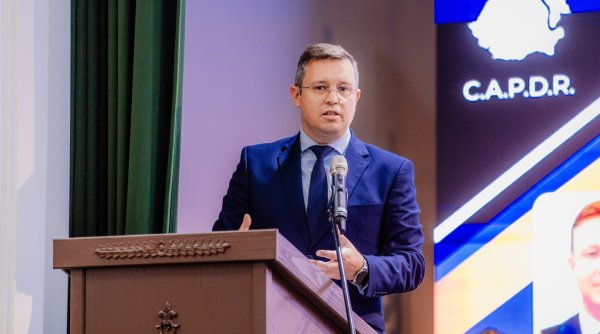 ion stefanovici 2024 anul in care democratia a fost testata la limita