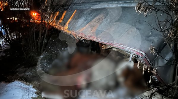 tir cu animale rasturnat la pe e85 la spataresti tir cu animale rasturnat la pe e85 la spataresti