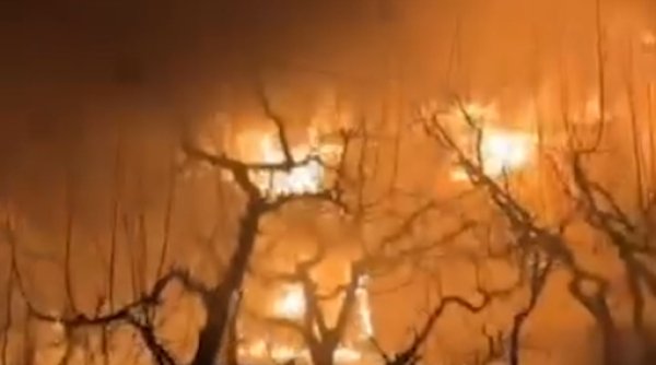 familie cu 11 copii ramasa fara casa in urma unui incendiu familie cu 11 copii ramasa fara casa in urma unui incendiu