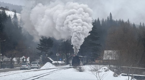 mocanita de la moldovita atractia principala pentru sute de turisti in weekend