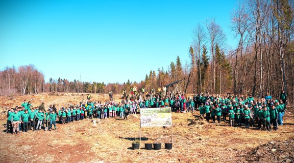 elevii din voitinel au plantat copaci alaturi de silvicultori elevii din voitinel au plantat copaci alaturi de silvicultori