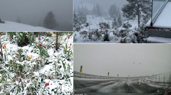 iarna s a intors in zonele montane ale judetului suceava in plina primavara iarna s a intors in zonele montane ale judetului suceava in plina primavara