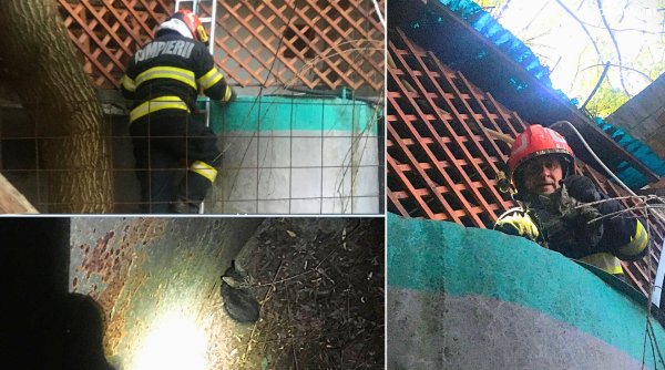 misiune cu final fericit pisica salvata dintr un bazin adanc de pompierii din dolhasca misiune cu final fericit pisica salvata dintr un bazin adanc de pompierii din dolhasca