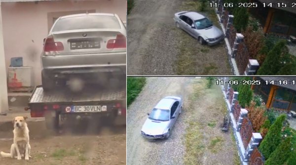 plimbare cu bucluc minor fara permis face praf un gard si fuge cu bmw ul plimbare cu bucluc minor fara permis face praf un gard si fuge cu bmw ul