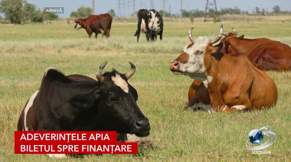 apia deschide usa creditelor pentru crescatorii de animale apia deschide usa creditelor pentru crescatorii de animale