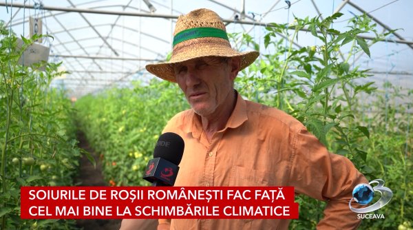 cum afecteaza schimbarile climatice culturile agricole sucevene
