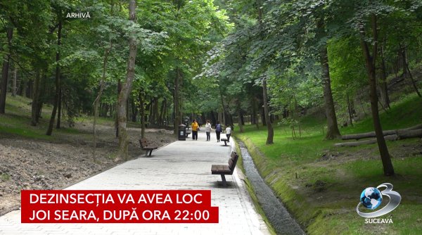 dezinsectie nocturna in suceava pe 24 iulie dezinsectie nocturna in suceava pe 24 iulie
