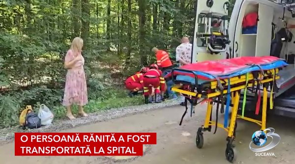 accident rutier pe un drum forestier din rasca accident rutier pe un drum forestier din rasca