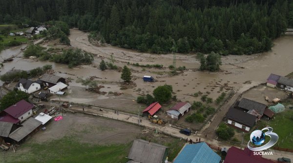 durere in noroi intre ape si neputinta durere in noroi intre ape si neputinta