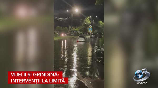 suceava sub ape curti si beciuri inundate si un copac prabusit suceava sub ape curti si beciuri inundate si un copac prabusit