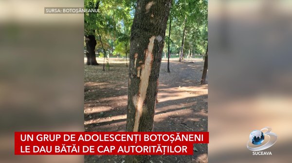un grup de adolescenti botosaneni le dau batai de cap autoritatilor