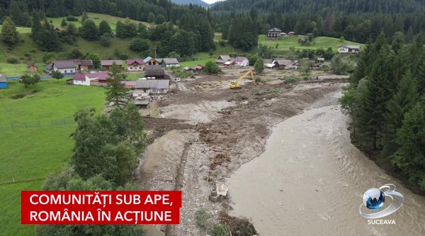 comunitati sub ape romania in actiune comunitati sub ape romania in actiune