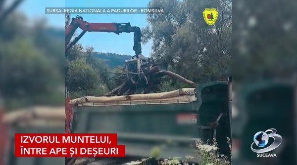 poiana teiului sufocata de resturi romsilva intervine