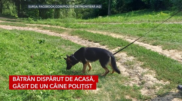 batran disparut de acasa gasit de un caine politist batran disparut de acasa gasit de un caine politist