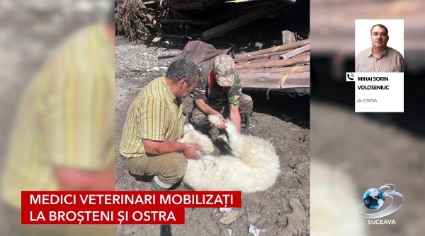 medici veterinari mobilizati la brosteni si ostra medici veterinari mobilizati la brosteni si ostra