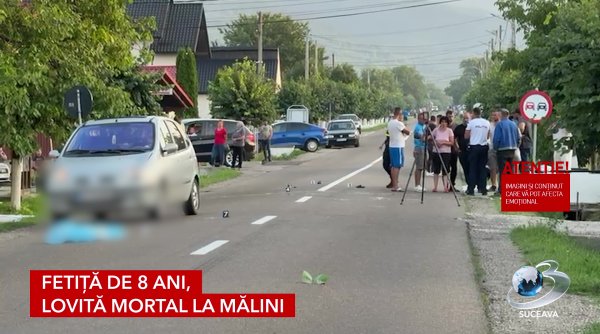 fetita de 8 ani lovita mortal la malini