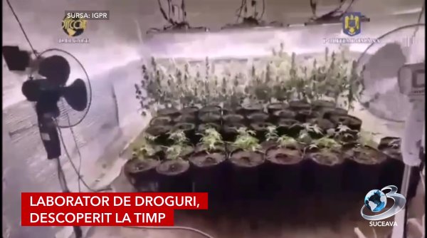 lovitura grea traficantilor 2 tone de droguri oprite din drum