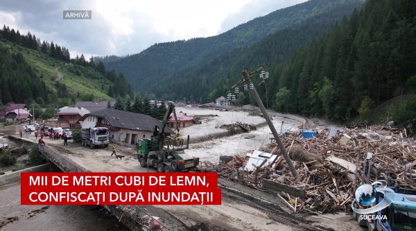 mii de metri cubi de lemn confiscati dupa inundatii