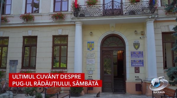 ultimul cuvant despre pug ul radautiului sambata ultimul cuvant despre pug ul radautiului sambata