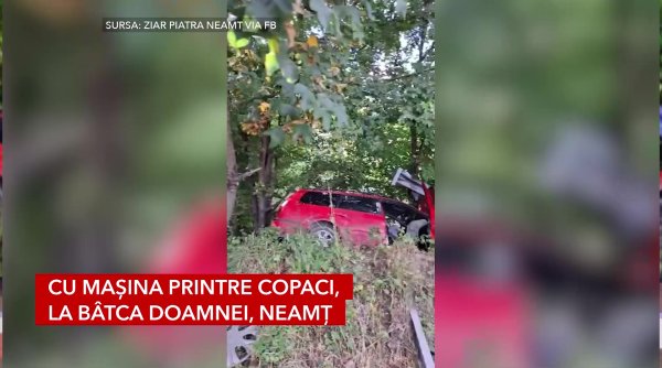 cu masina printre copaci la batca doamnei neamt cu masina printre copaci la batca doamnei neamt