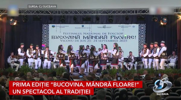 trofeul sofia vicoveanca icoana a maicii domnului