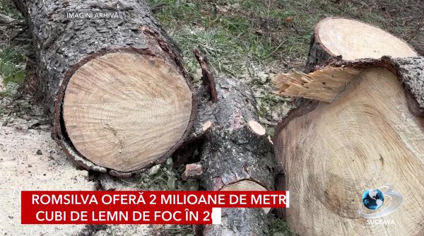 romsilva ofera 2 milioane de metri cubi de lemn de foc in 2025