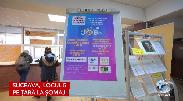 suceava locul 5 pe tara la somaj