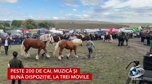 mii de oameni la targul cailor din trei movile mii de oameni la targul cailor din trei movile